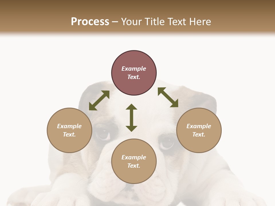 A Puppy Laying Down On The Ground With A White Background PowerPoint Template