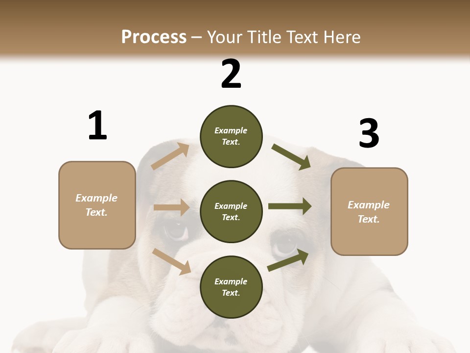 A Puppy Laying Down On The Ground With A White Background PowerPoint Template