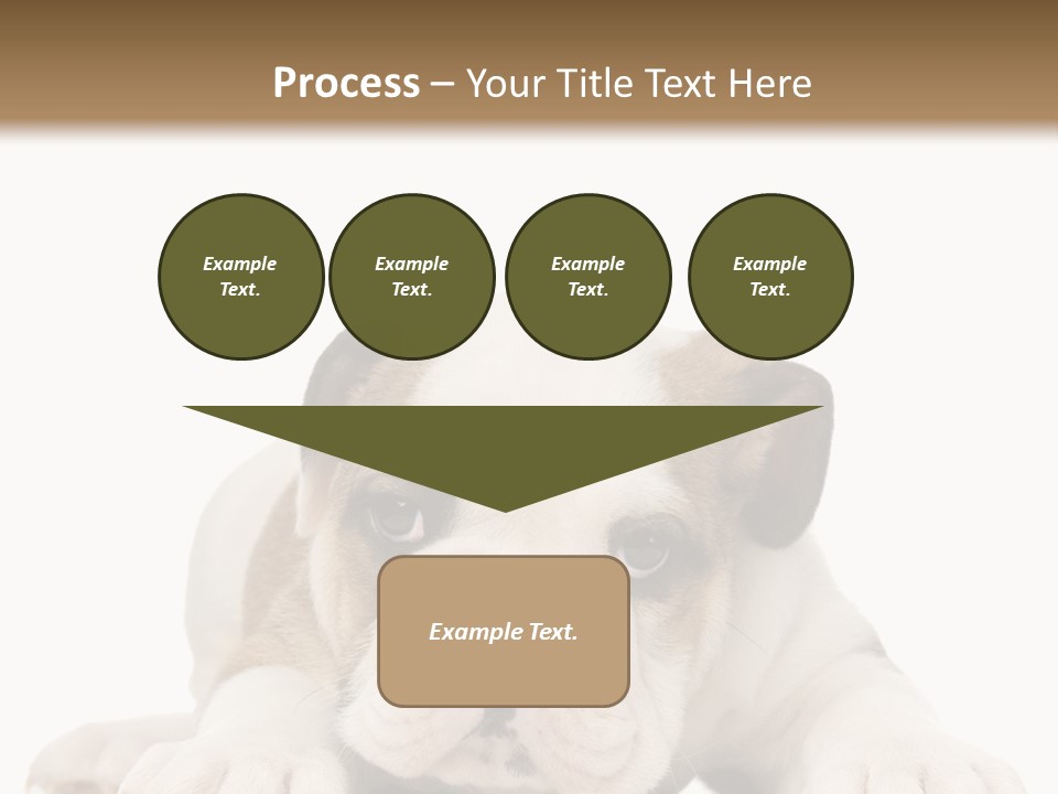 A Puppy Laying Down On The Ground With A White Background PowerPoint Template