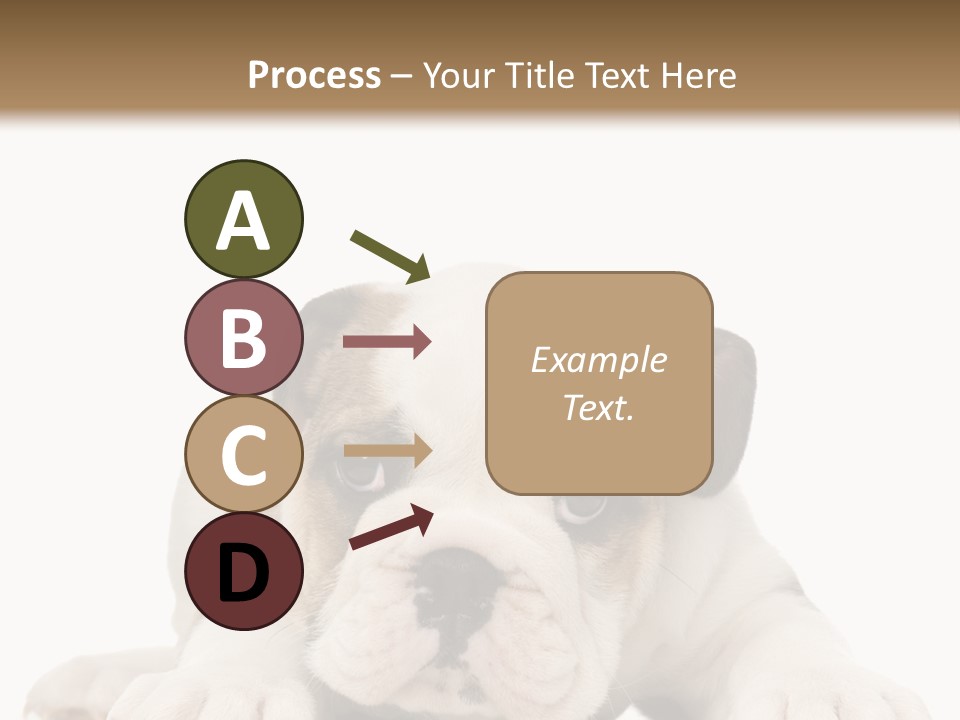 A Puppy Laying Down On The Ground With A White Background PowerPoint Template