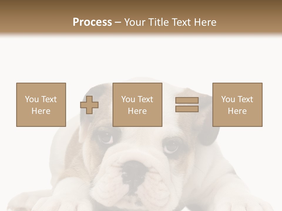 A Puppy Laying Down On The Ground With A White Background PowerPoint Template