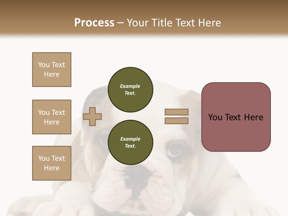 A Puppy Laying Down On The Ground With A White Background PowerPoint Template