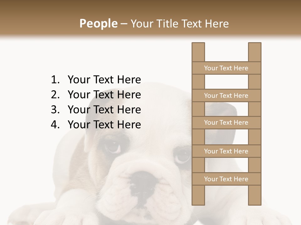 A Puppy Laying Down On The Ground With A White Background PowerPoint Template