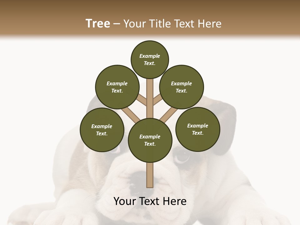 A Puppy Laying Down On The Ground With A White Background PowerPoint Template