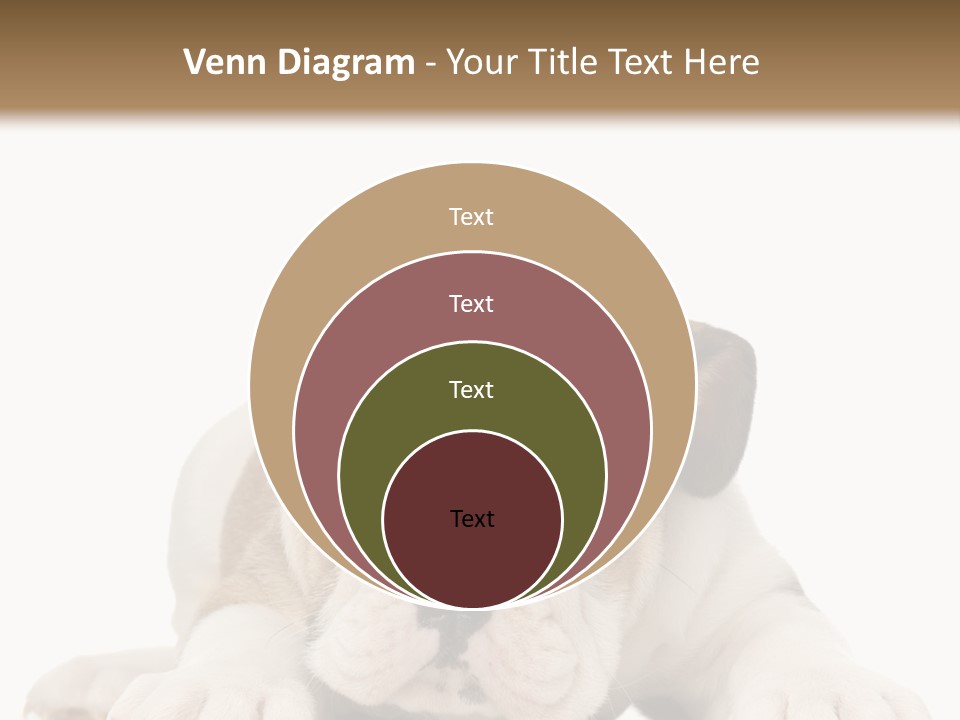 A Puppy Laying Down On The Ground With A White Background PowerPoint Template