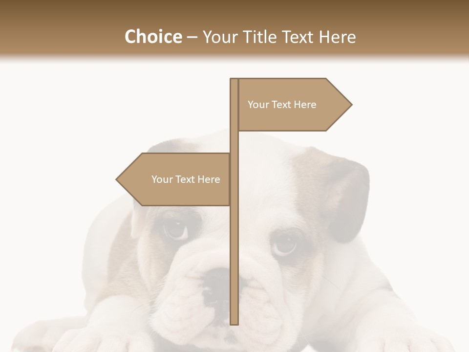 A Puppy Laying Down On The Ground With A White Background PowerPoint Template