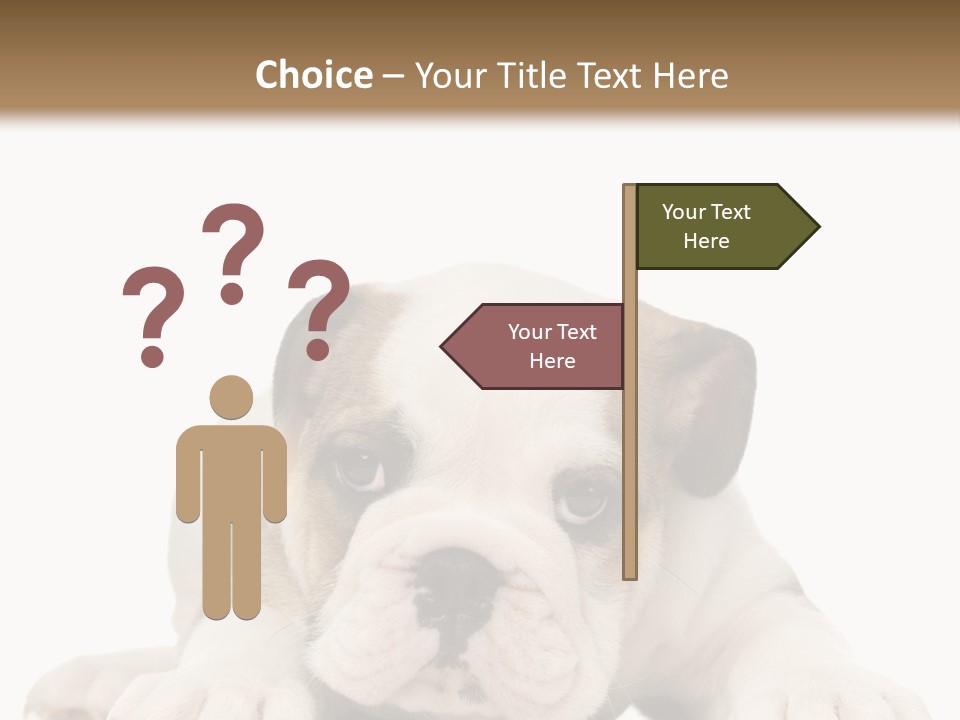 A Puppy Laying Down On The Ground With A White Background PowerPoint Template