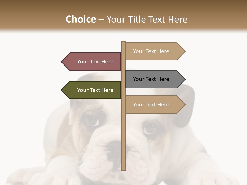 A Puppy Laying Down On The Ground With A White Background PowerPoint Template