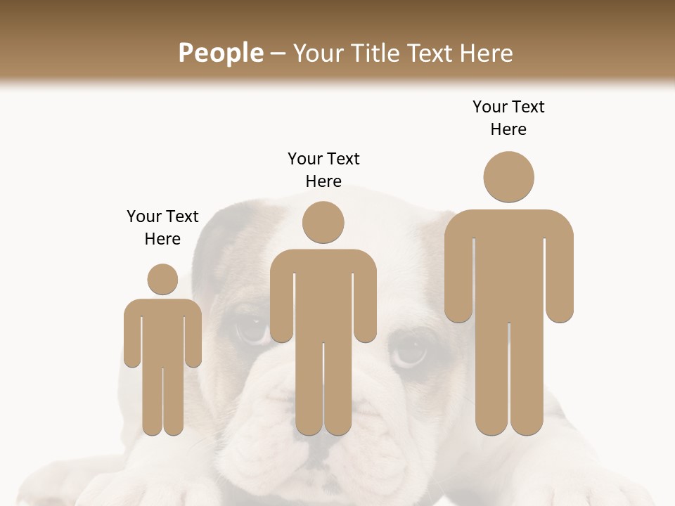 A Puppy Laying Down On The Ground With A White Background PowerPoint Template