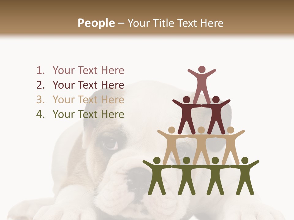 A Puppy Laying Down On The Ground With A White Background PowerPoint Template