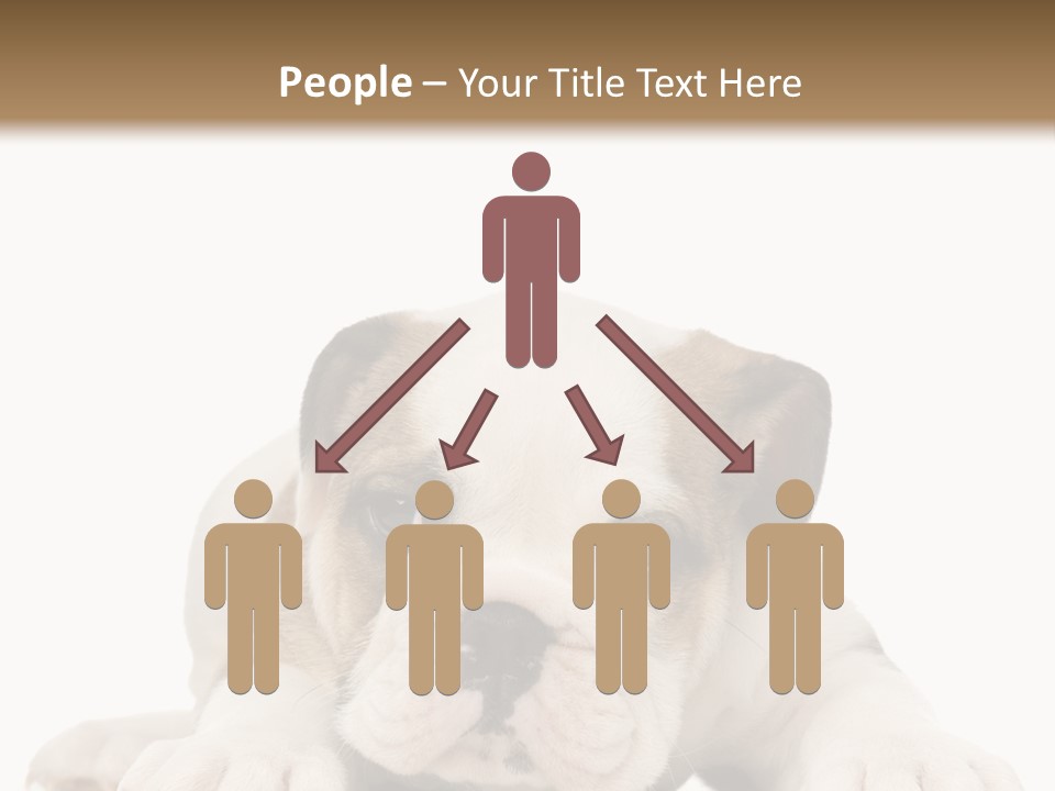 A Puppy Laying Down On The Ground With A White Background PowerPoint Template