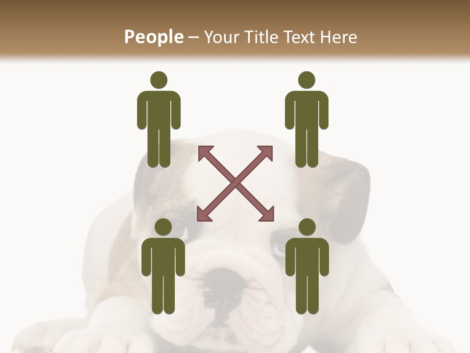 A Puppy Laying Down On The Ground With A White Background PowerPoint Template