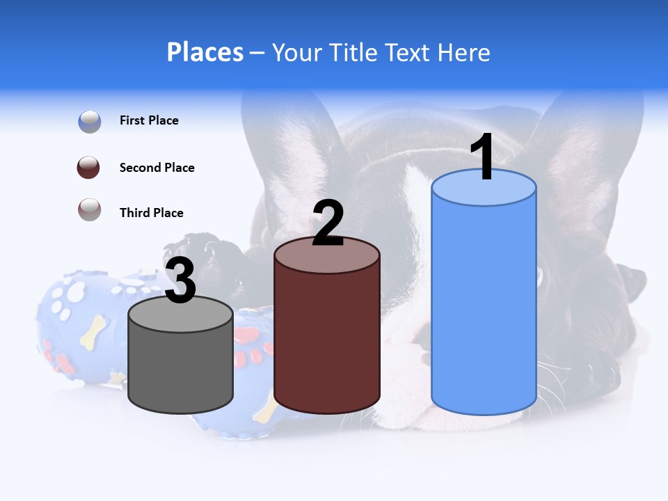 A Black And White Dog Laying On Top Of A Blue Toy PowerPoint Template