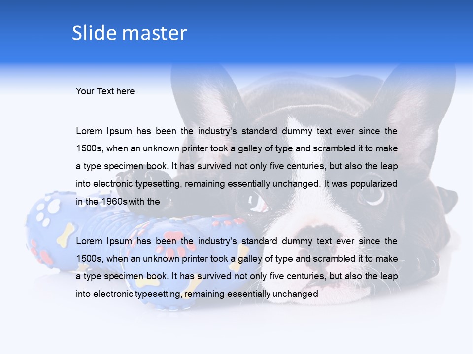 A Black And White Dog Laying On Top Of A Blue Toy PowerPoint Template