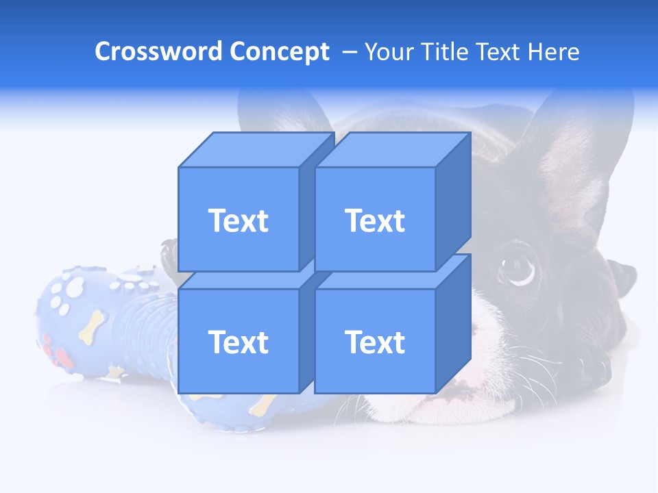 A Black And White Dog Laying On Top Of A Blue Toy PowerPoint Template