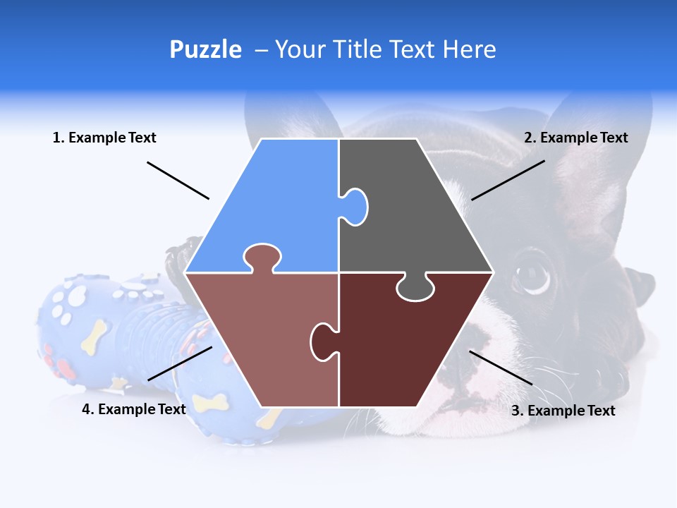 A Black And White Dog Laying On Top Of A Blue Toy PowerPoint Template