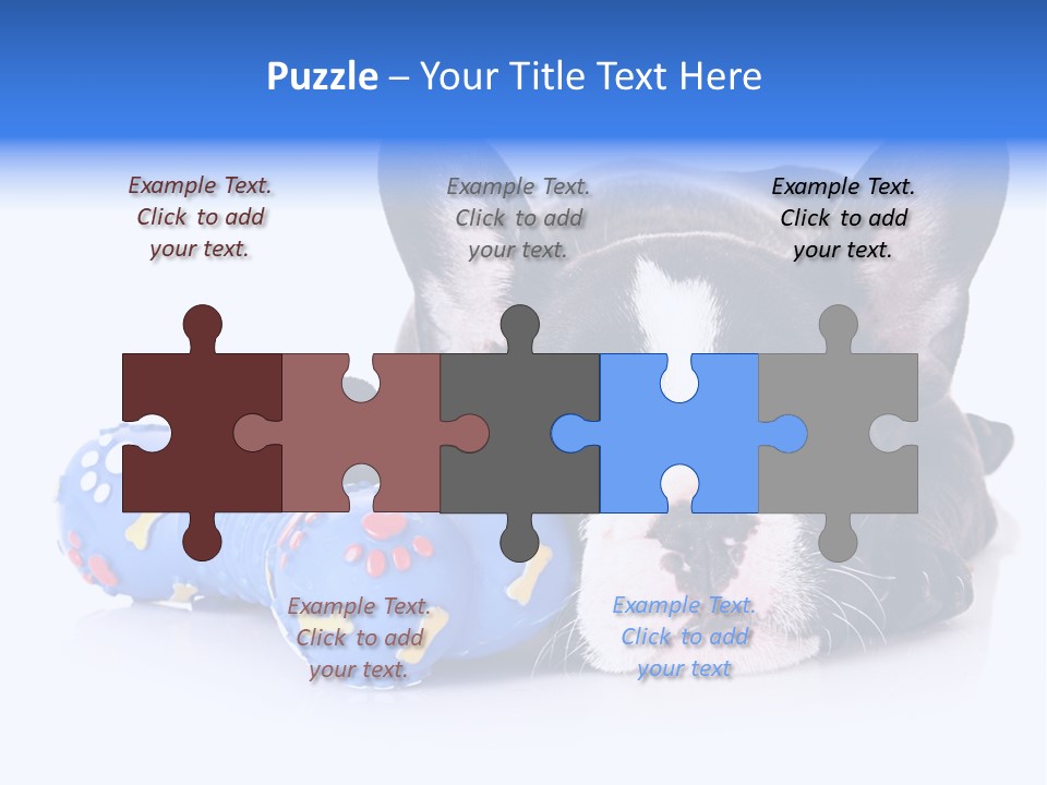 A Black And White Dog Laying On Top Of A Blue Toy PowerPoint Template