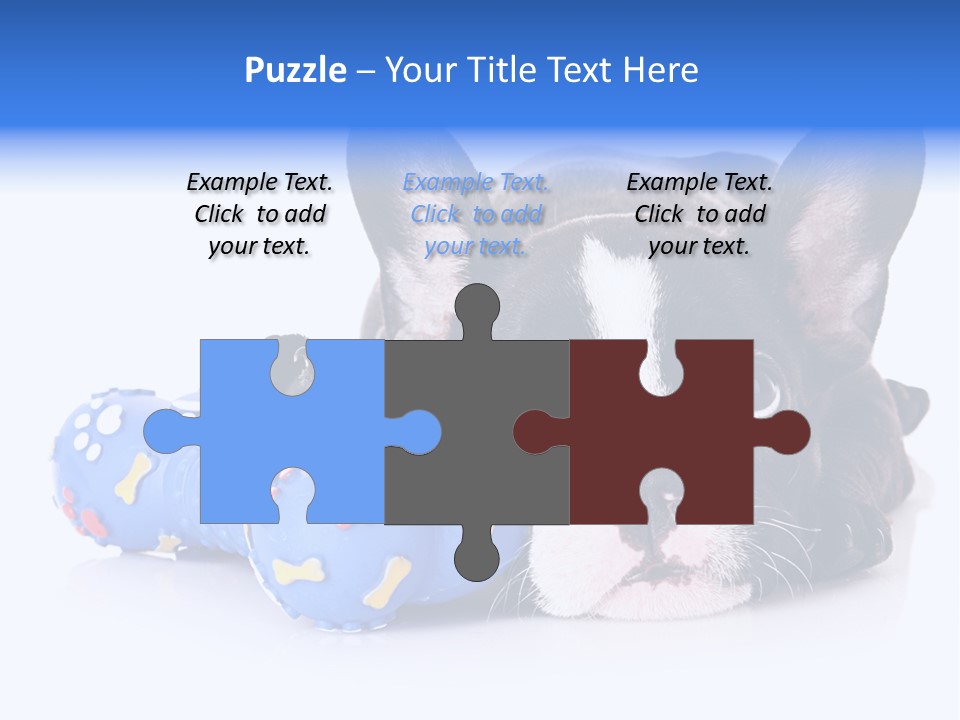 A Black And White Dog Laying On Top Of A Blue Toy PowerPoint Template