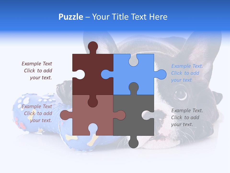 A Black And White Dog Laying On Top Of A Blue Toy PowerPoint Template