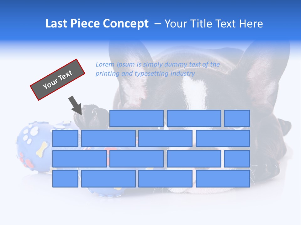 A Black And White Dog Laying On Top Of A Blue Toy PowerPoint Template