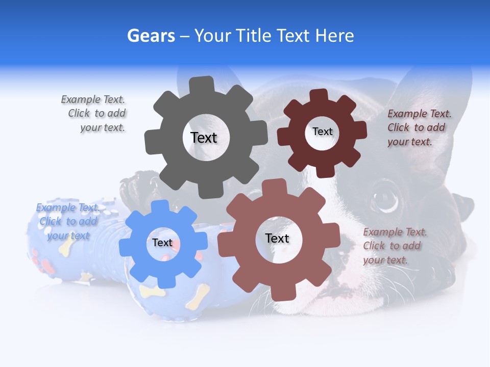 A Black And White Dog Laying On Top Of A Blue Toy PowerPoint Template