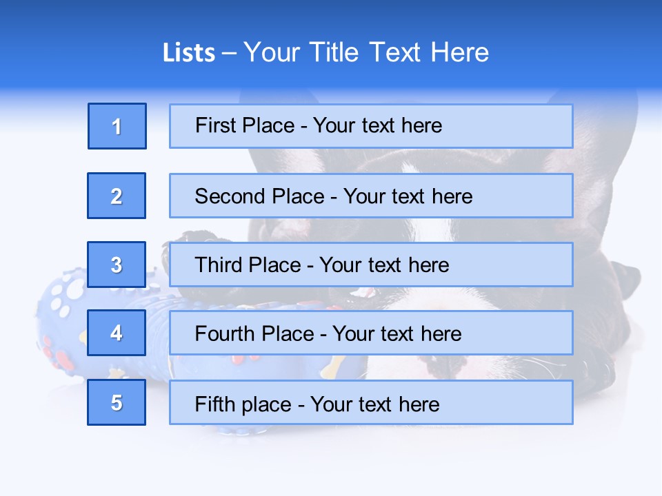 A Black And White Dog Laying On Top Of A Blue Toy PowerPoint Template