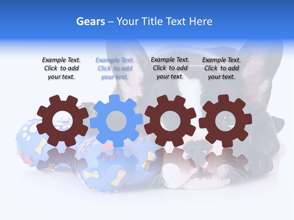 A Black And White Dog Laying On Top Of A Blue Toy PowerPoint Template