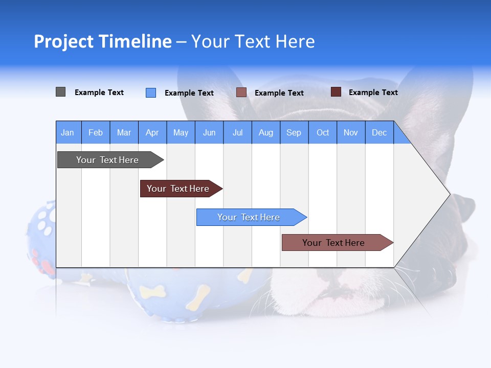 A Black And White Dog Laying On Top Of A Blue Toy PowerPoint Template