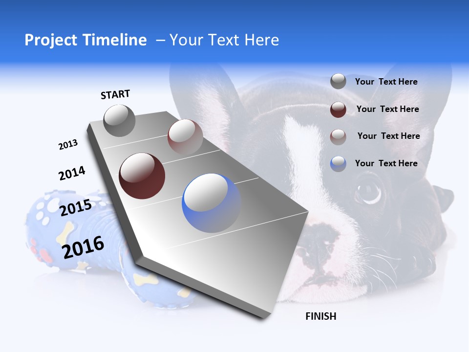 A Black And White Dog Laying On Top Of A Blue Toy PowerPoint Template