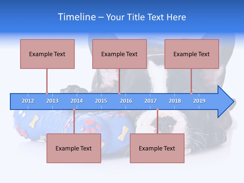 A Black And White Dog Laying On Top Of A Blue Toy PowerPoint Template