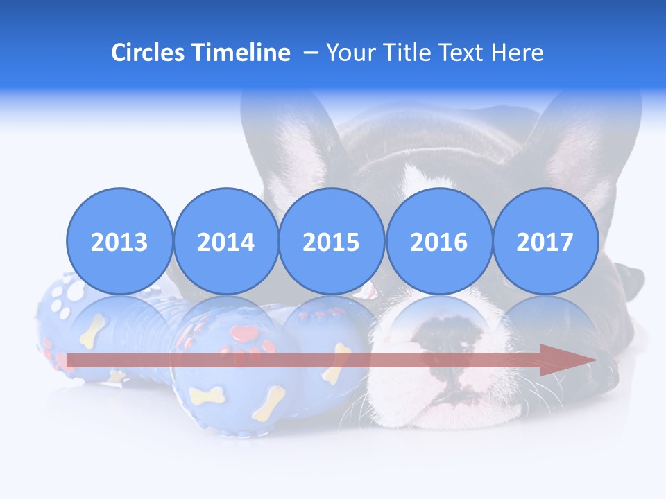 A Black And White Dog Laying On Top Of A Blue Toy PowerPoint Template