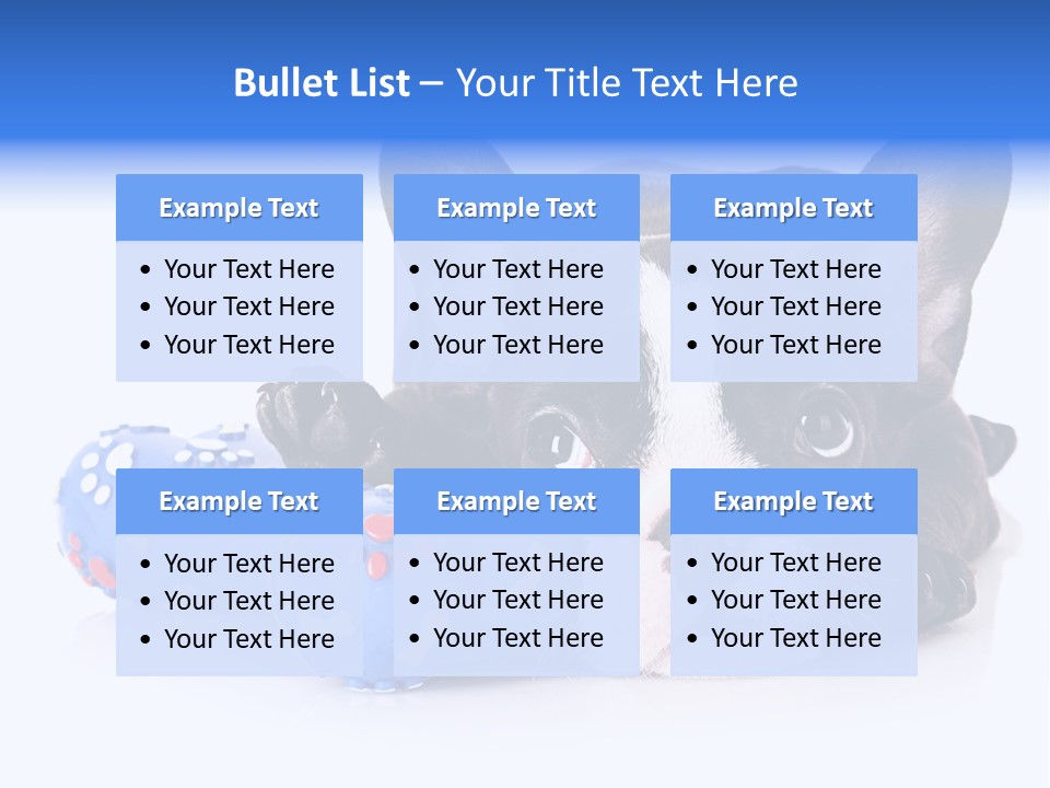 A Black And White Dog Laying On Top Of A Blue Toy PowerPoint Template