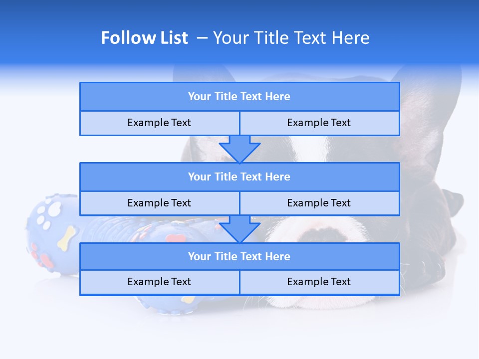 A Black And White Dog Laying On Top Of A Blue Toy PowerPoint Template