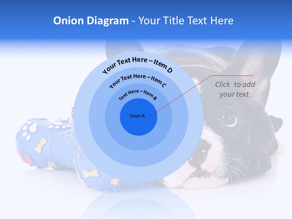 A Black And White Dog Laying On Top Of A Blue Toy PowerPoint Template