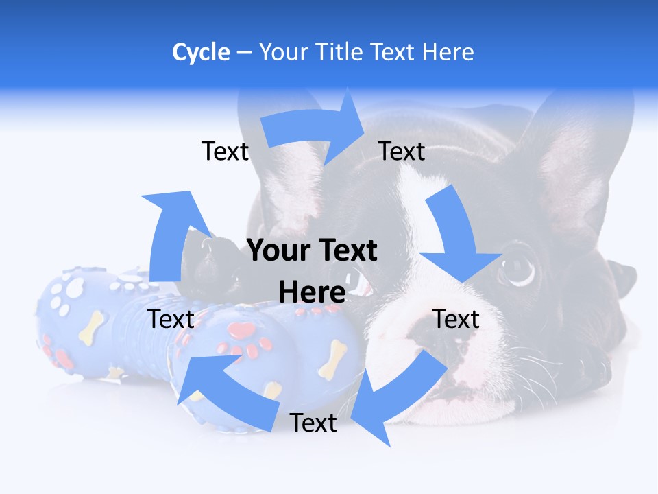 A Black And White Dog Laying On Top Of A Blue Toy PowerPoint Template