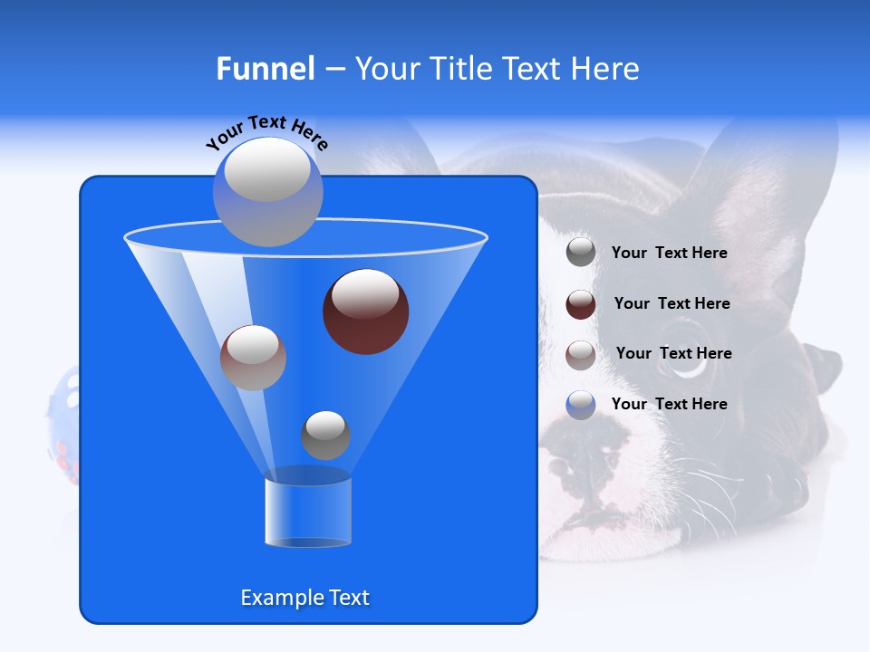 A Black And White Dog Laying On Top Of A Blue Toy PowerPoint Template