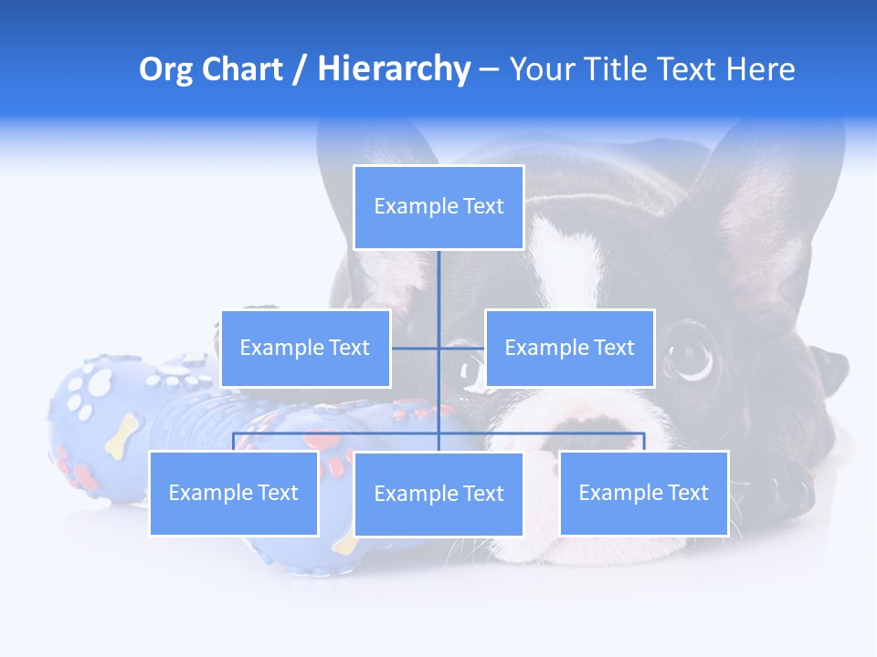 A Black And White Dog Laying On Top Of A Blue Toy PowerPoint Template