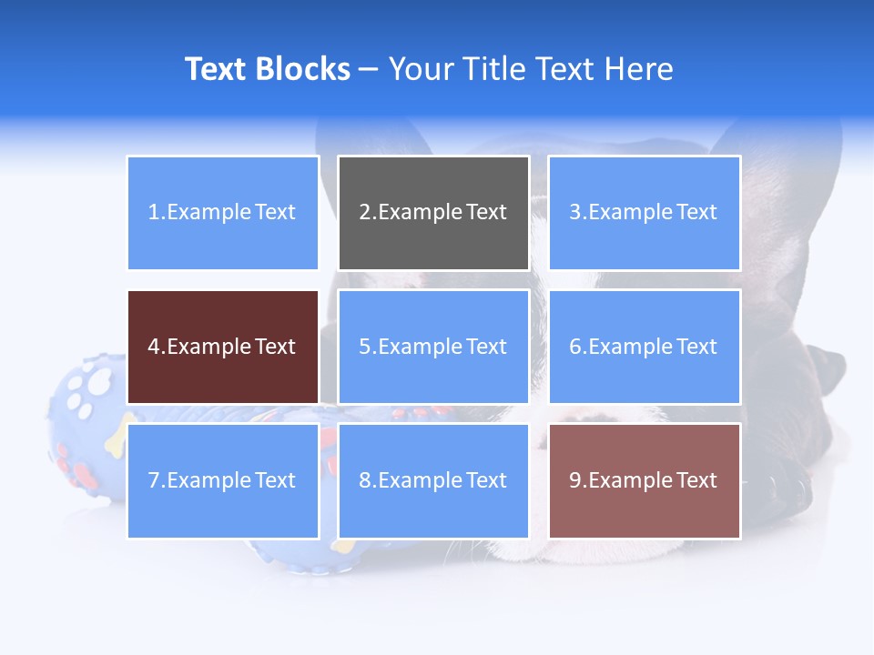 A Black And White Dog Laying On Top Of A Blue Toy PowerPoint Template