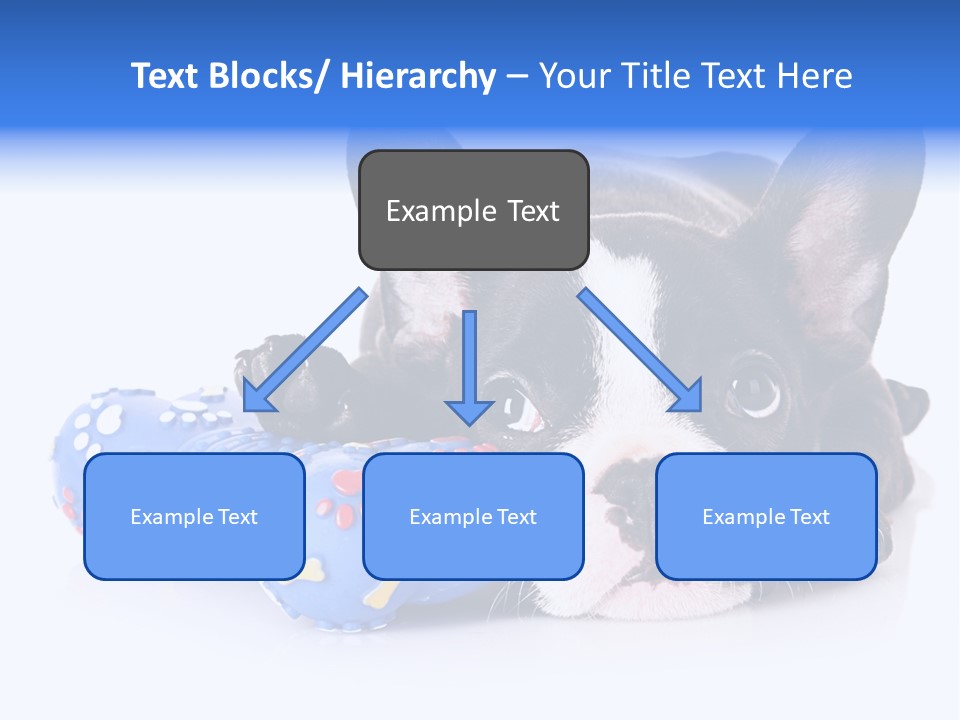 A Black And White Dog Laying On Top Of A Blue Toy PowerPoint Template