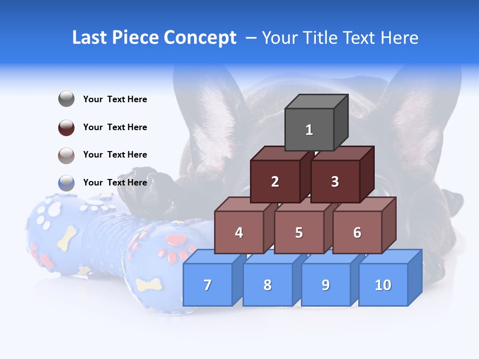 A Black And White Dog Laying On Top Of A Blue Toy PowerPoint Template