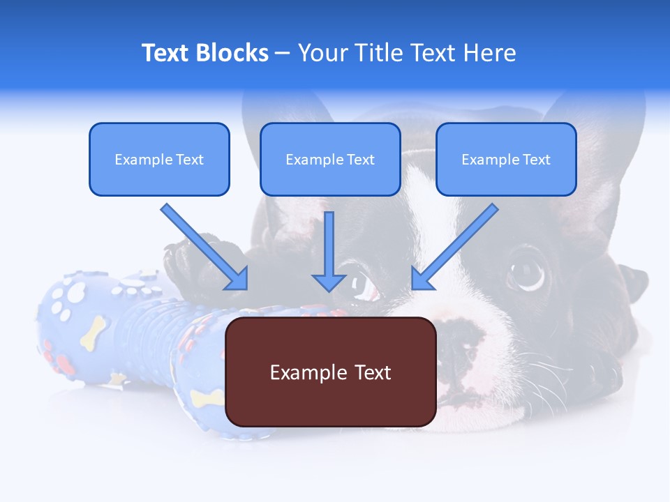 A Black And White Dog Laying On Top Of A Blue Toy PowerPoint Template