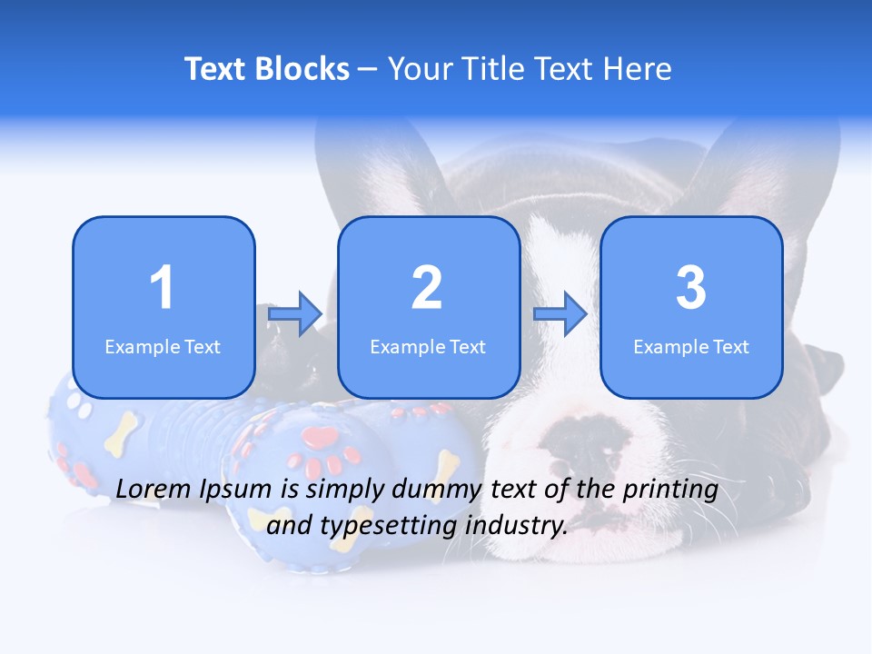 A Black And White Dog Laying On Top Of A Blue Toy PowerPoint Template