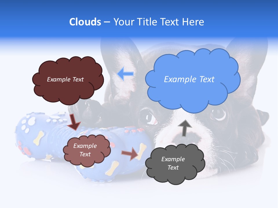 A Black And White Dog Laying On Top Of A Blue Toy PowerPoint Template