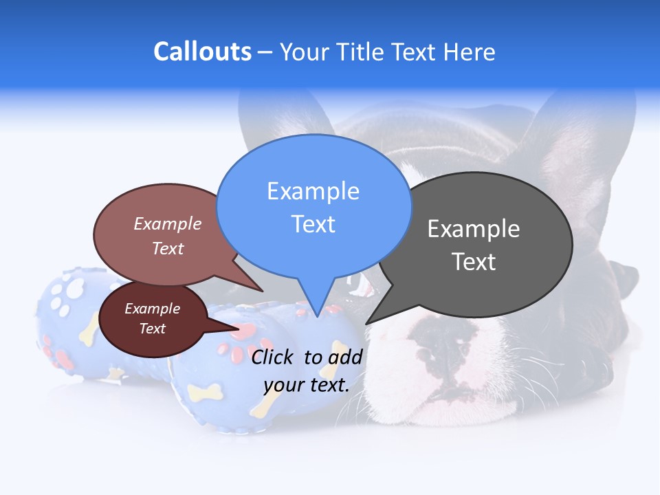 A Black And White Dog Laying On Top Of A Blue Toy PowerPoint Template