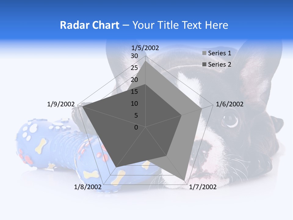 A Black And White Dog Laying On Top Of A Blue Toy PowerPoint Template