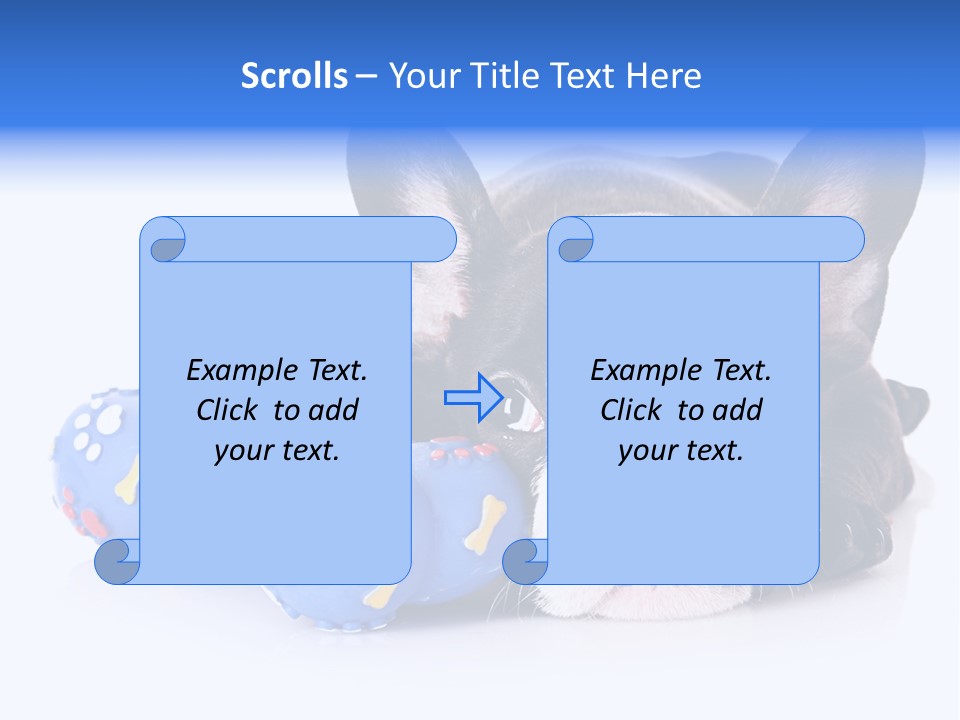 A Black And White Dog Laying On Top Of A Blue Toy PowerPoint Template