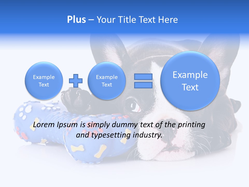 A Black And White Dog Laying On Top Of A Blue Toy PowerPoint Template