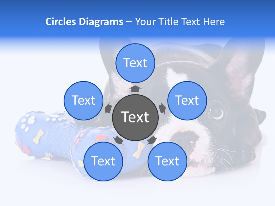 A Black And White Dog Laying On Top Of A Blue Toy PowerPoint Template