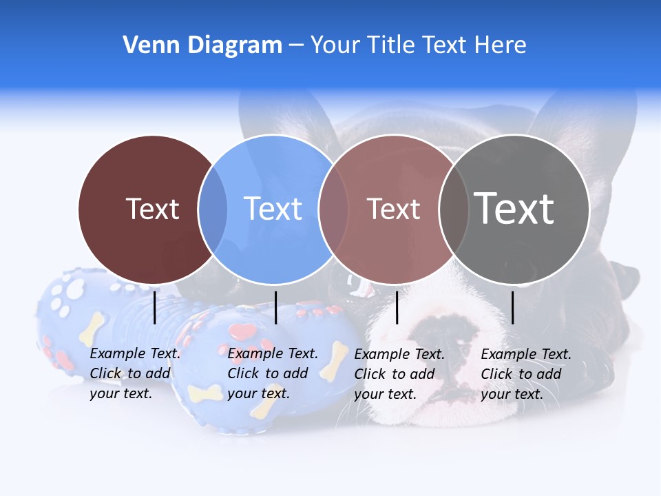 A Black And White Dog Laying On Top Of A Blue Toy PowerPoint Template