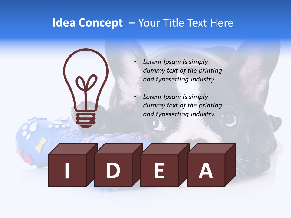 A Black And White Dog Laying On Top Of A Blue Toy PowerPoint Template